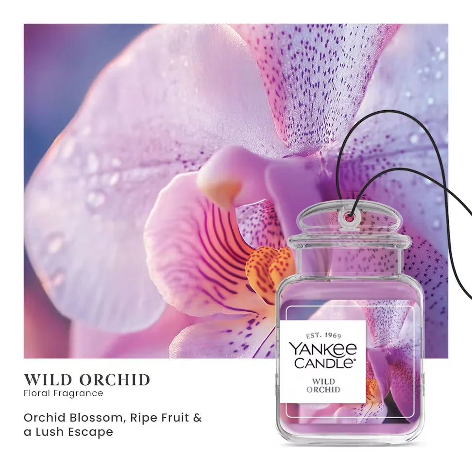 wild-orchid