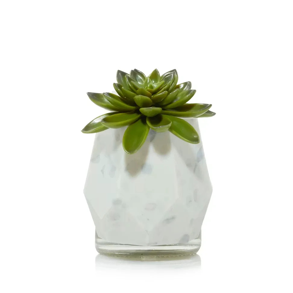 faceted-succulent-scentplug-diffuser-w-light