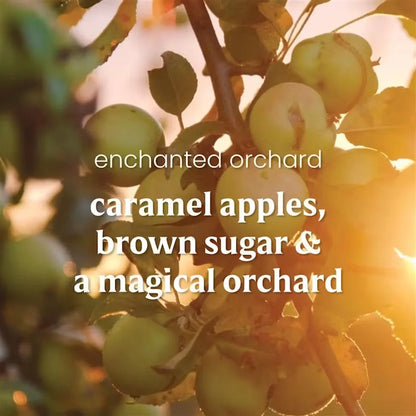 enchanted-orchard