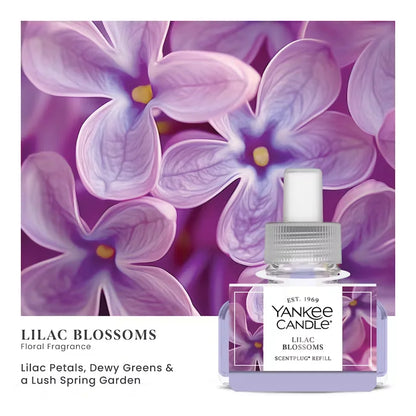lilac-blossoms