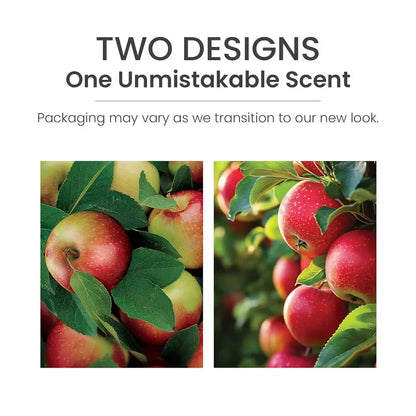 macintosh